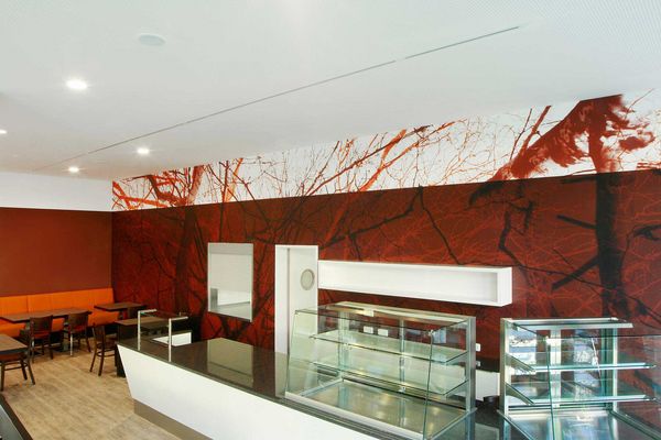 Rotes Baummotiv an Wand und Decke über der Ausgabe im Alexianer Krankenhaus