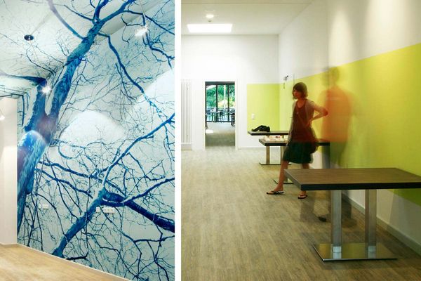 Blaues Baummotiv und grüne Wandfläche im Alexianer Krankenhaus